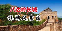 嫩草ww视频:TT789:com在线观看:中国北京-八达岭长城旅游风景区